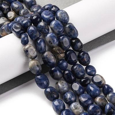 Natural Sodalite Beads Strands G-G146-A03-01-1