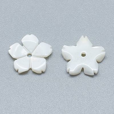Freshwater Shell Beads SHEL-S275-033-1