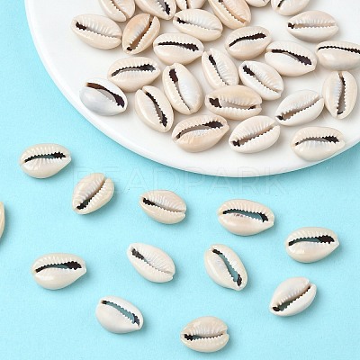 Natural Cowrie Shell Beads X-BSHE-O007-73-1