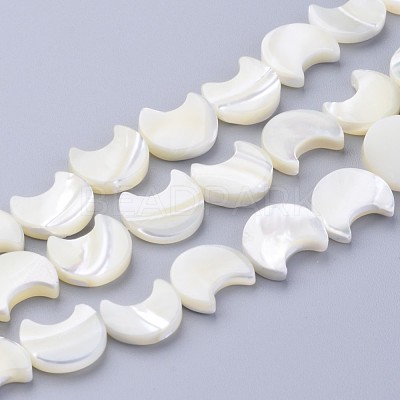Natural White Shell Beads Strands SSHEL-12X11-1