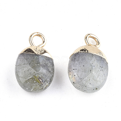Electroplate Natural Labradorite Charms G-S344-09D-1
