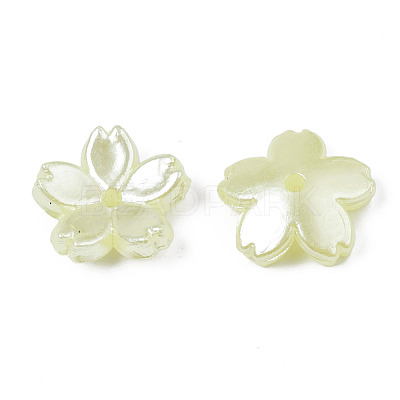 Acrylic Imitation Pearl Beads OACR-N012-002G-1
