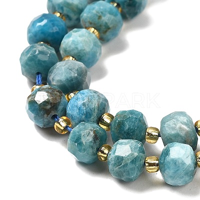 Natural Apatite Beads Strands G-P508-A15-01-1