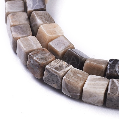 Natural Fossil Coral Beads Strands G-D0020-13A-1