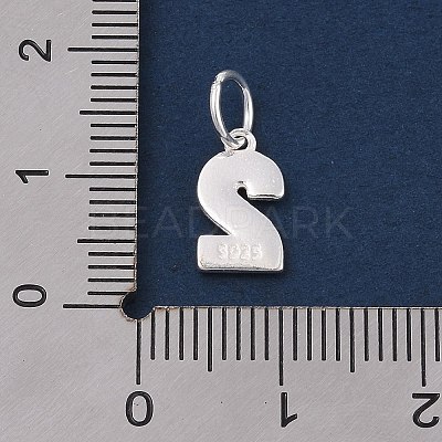 Number Series 925 Sterling Silver Charms STER-Q002-01C-1