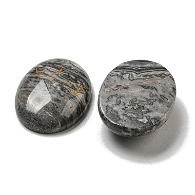 Natural Map Stone Cabochons G-C115-01B-48-1