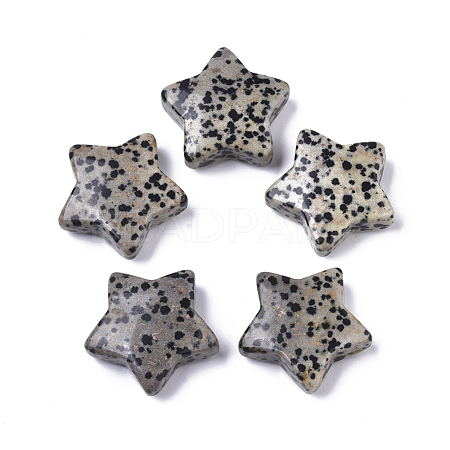 Natural Dalmatian Jasper Star Shaped Worry Stones G-T132-002A-01-1