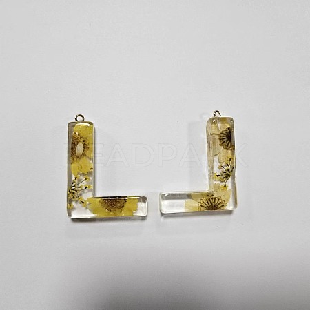 Transparent Epoxy Resin Pendants CRES-YW0002-12L-1