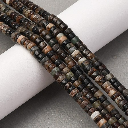 Natural Biotite Beads Strands G-L624-I12-2x4mm-1