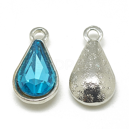 Alloy Glass Pendants PALLOY-T029-8x13mm-12-1