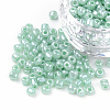 (Repacking Service Available) Glass Seed Beads SEED-C020-4mm-154-1