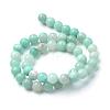 Natural Amazonite Beads Strands G-T055-10mm-17-2