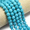 Natural Malaysia Jade Beads Strands G-L645-A01-14mm-24-4