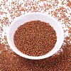 MIYUKI Delica Beads X-SEED-J020-DB1333-2