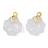 Glass Charms GLAA-N036-02B-4