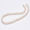 Natural Cultured Freshwater Pearl Beads Strands PEAR-R013-06-3