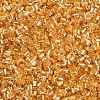 FGB Grade A Glass Seed Beads SEED-R007-FH32-1