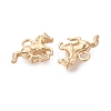 Brass Pendants X-KK-Q074-22G-2