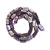 Natural Lepidolite Beads Strands G-O170-130-2