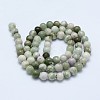 Natural Peace Jade Beads Strands G-I206-20-6mm-2