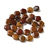 Natural Petrified Wood Beads Strands G-H344-B03-01-3