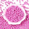 Baking Paint Pearlized Glass Seed Beads SEED-T008-03K-2