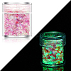 Luminous Nail Art Glitter Powder LUMI-PW0004-034F-1