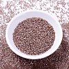 MIYUKI Delica Beads X-SEED-J020-DB1879-2