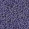 TOHO 11/0 Round Beads LS-X-SEED-TR11-PF0567-2