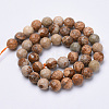 Natural Picture Jasper Beads Strands G-S281-01-6mm-2