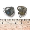 Natural Labradorite Pendants G-K371-02P-03-3