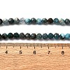 Natural Apatite Beads Strands X-G-A276-C08-4mm-01-5