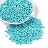 Baking Paint Glass Seed Beads SEED-T006-03H-3