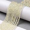 Electroplate Transparent Glass Beads Strands X1-GLAA-H021-01B-FR04-3