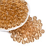 FGB Transparent Glass Seed Beads SEED-N013-01C-05-1