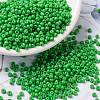 MIYUKI Round Rocailles Beads SEED-X0055-RR4476-1