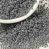 MIYUKI Round Rocailles Beads X-SEED-G008-RR0240-1
