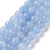 Dyed Natural Malaysia Jade Beads Strands G-G021-02B-07-1