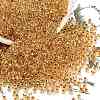 TOHO 8/0 Round Beads SEED-TR08-0701-1