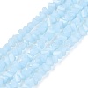 Opaque Glass Beads Strands GLAA-N019-3mm-16-1