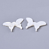 Natural White Shell Mother of Pearl Shell Beads SSHEL-N034-38-2