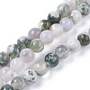 Natural Tree Agate Beads Strands X-G-L533-22-1