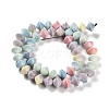 Natural Rainbow Alashan Agate Beads Strands G-NH0022-I01-01-3
