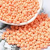 Baking Paint Glass Seed Beads SEED-B001-02A-16-1