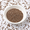 MIYUKI Delica Beads SEED-JP0008-DB0040-2