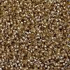 MIYUKI Delica Beads X-SEED-J020-DB2155-2