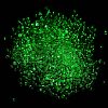 Luminous Glass Seed Beads SEED-A033-07I-5