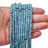 Dyed Synthetic Turquoise Beads Strands G-Z089-A04-Q-1