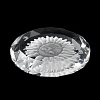 Transparent Glass Pendants X-GLAA-Q090-03-4
