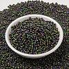 MIYUKI Round Rocailles Beads X-SEED-G008-RR2019-4